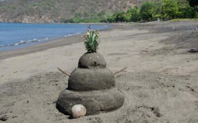 Jak wysokie są obecnie stawki PIT?