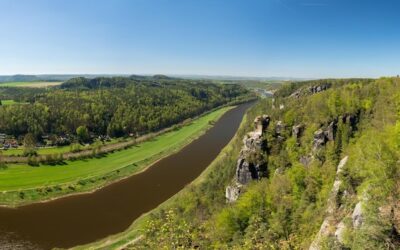 Ile można zarobić na szparagach w Niemczech?