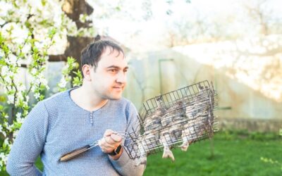 Jak obliczyć netto z kwoty brutto na swoim wynagrodzeniu?