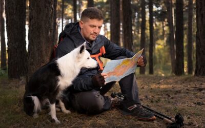 Jak znaleźć swój PIT w urzędowych systemach?