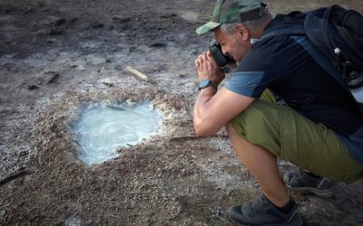 Kiedy wyplaty PIT trafiają na konta pracowników?